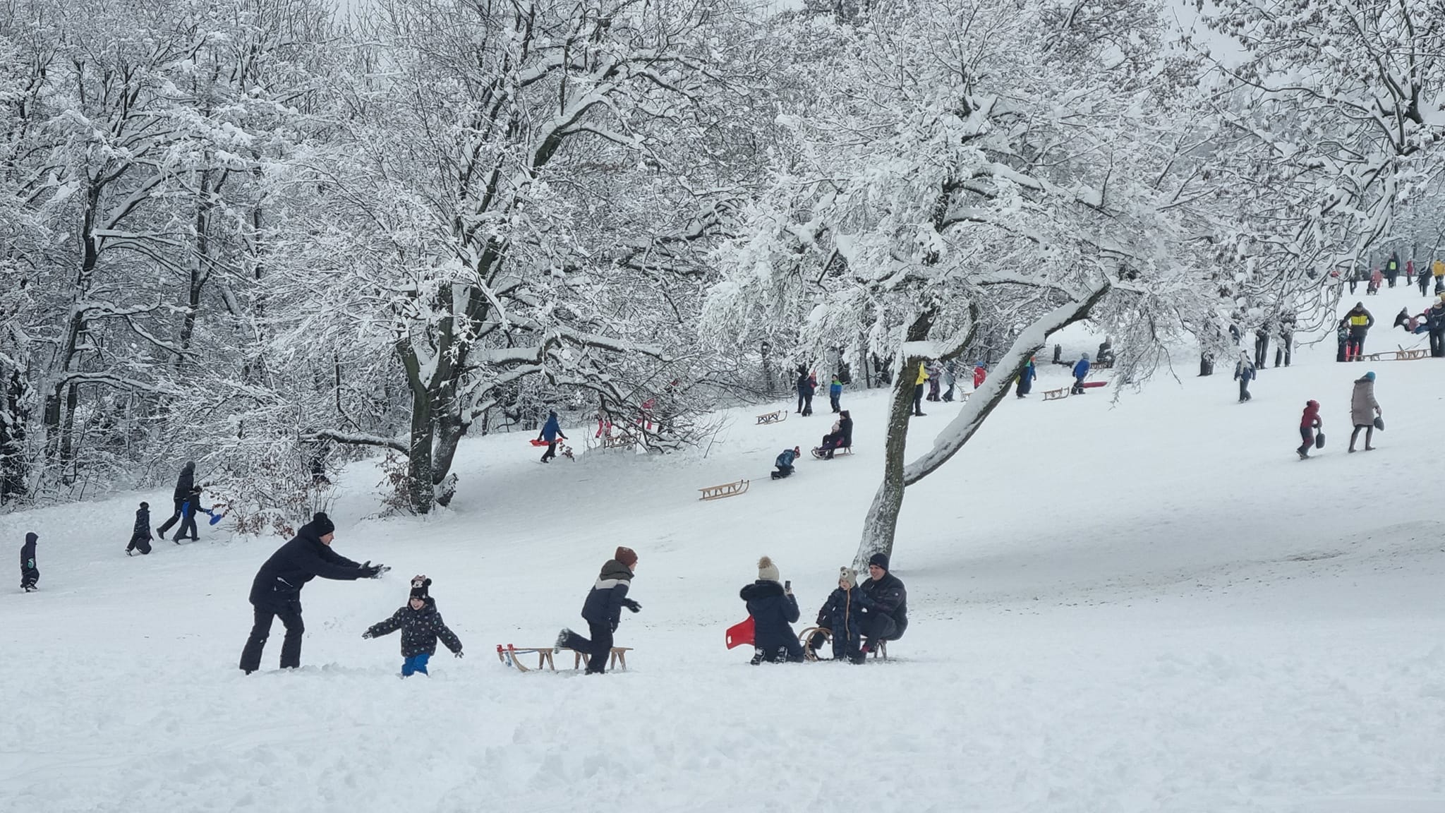 Sledding on Normafa